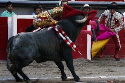 Momento en que José Tomás sufre la cogida en la plaza de Aguascalientes.