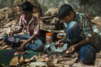 Rakib Mridha (a la derecha) tiene 12 años. Trabaja nueve horas al día agachado en una habitación de unos nueve metros cuadrados abarrotados de planchas de cuero y otra media docena de niños haciendo la misma labor que él: cortar con una navaja las láminas en forma de suela de zapato. Libra media jornada los viernes y cobra 1.500 takas al mes (17 euros). Así es su vida desde que tenía nueve años. Desde entonces, son muchas veces las que se ha cortado los dedos de las manos y de los pies, pues con ellos, descalzos, sujetan el material. "Me hago daño varias veces al mes", detalla. "Me siento mal, porque veo que otros niños no trabajan y están mejor. Pero tengo que pagar el alquiler de la casa, que son 3.000 takas al mes", explica.