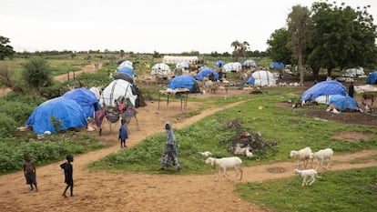 Afueras de Mopti (Malí), en septiembre de 2019.