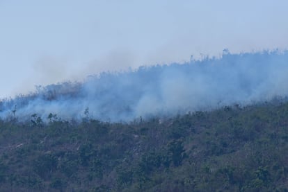 El Parque Nacional El Veladero, ubicado en los cerros que rodean la bahía de Acapulco, presenta varios incendios forestales fuera de control.  