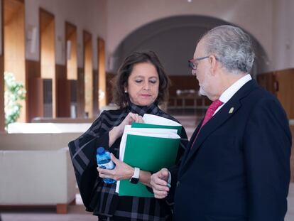 La consejera de Salud y Consumo, Catalina García, junto a su antiguo 'número dos', Miguel Ángel Guzmán, el 15 de febrero de 2023, en el Parlamento andaluz.