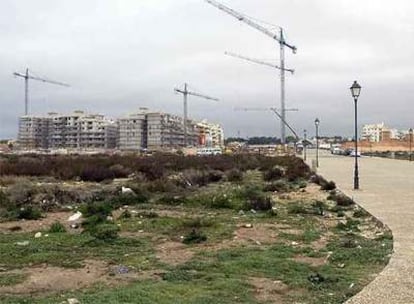 Bloques de apartamentos en construcción en la playa de la Mosca de Orihuela.