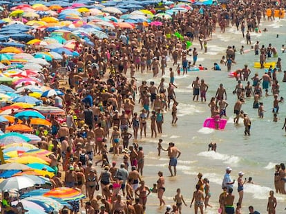 Ba&ntilde;istas en una playa de Benidorm en julio.