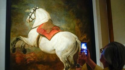 Un visitante toma una imagen del 'Caballo Blanco', de Velázquez, durante la presentación del proyecto museístico de las colecciones reales en Madrid.