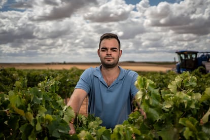 Jesús Castillo en el viñedo de los campos de Villamayor de Santiago (Cuenca) el pasado jueves.