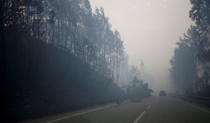 Vista de la carretera a la zona incendiada.