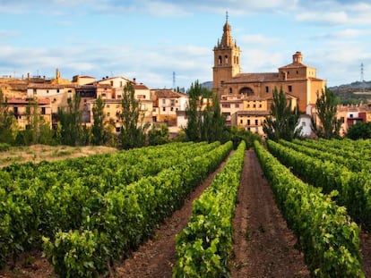 El vino español fija su hoja de ruta para aumentar su valor en cinco años