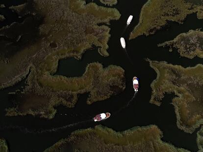 Las 20 mejores imágenes de la semana