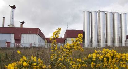 Planta comprada por Log&iacute;stica Alimentaria en el municipio lucense de Outeiro de Rei.