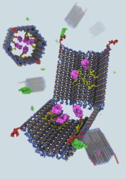 Esquema del nanorobot de ADN con su carga de fragmentos de anticuerpos.