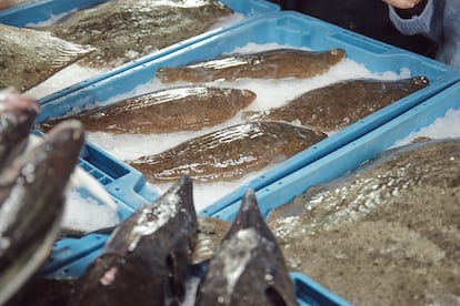 Tanto los pescados de acuicultura como los de pesca extractiva aportan los mismos ácidos grasos Omega 3, proteínas, minerales y vitaminas. 