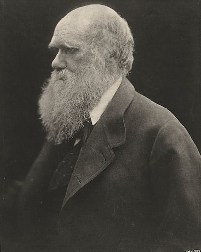 Charles Darwin (1868, impresa en 1875).