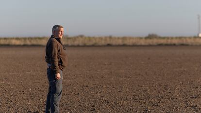 El agricultor algodonero Felipe López, que participa en la demanda colectiva contra el cártel de la industria desmotadora, este jueves en una de sus parcelas de Las Cabezas de San Juan (Sevilla).