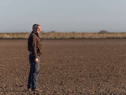 El agricultor algodonero Felipe López, que participa en la demanda colectiva contra el cártel de la industria desmotadora, este jueves en una de sus parcelas de Las Cabezas de San Juan (Sevilla).