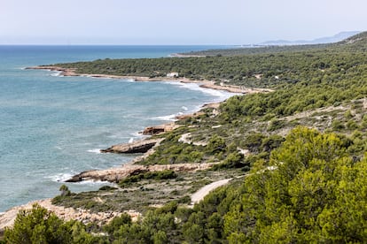 Playas vírgenes del litoral valenciano.