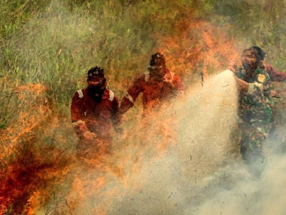 Bomberos indonesios combaten un incendio en un bosque de turberas en Ogan Ilir, en Sumatra. 