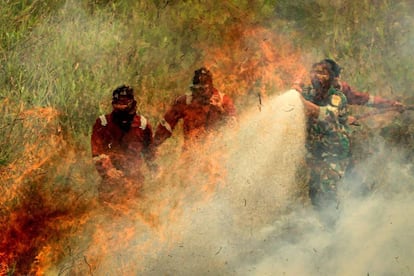 Bomberos indonesios combaten un incendio en un bosque de turberas en Ogan Ilir, en Sumatra.