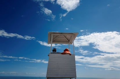 Un socorrista, acompañado en su puesto de vigilancia, observa a los bañistas en un día de calor en una playa de Sochi (Rusia).