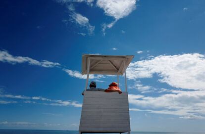Un socorrista, acompañado en su puesto de vigilancia, observa a los bañistas en un día de calor en una playa de Sochi (Rusia).
