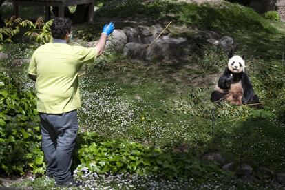 Visita al zoo de Madrid mes y medio despus de que se decretase el estado de alarma.