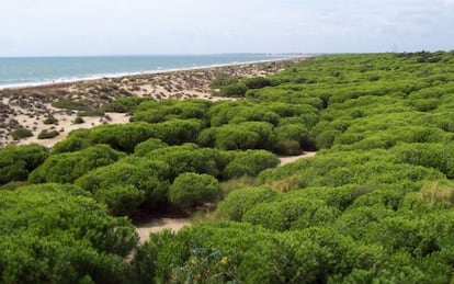 La playa de Los Enebrales, en Punta Umbría (Huelva).