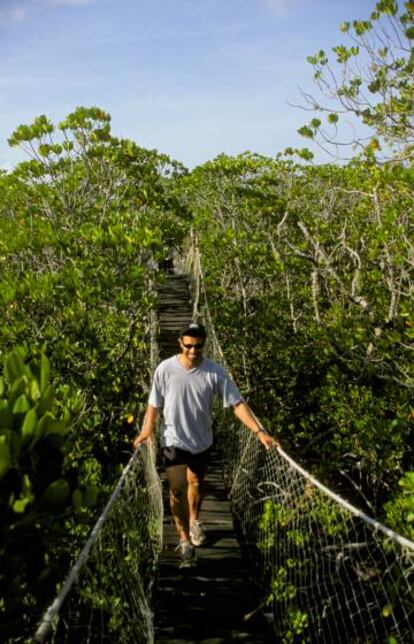 Un turista atraviesa una pasarela para la observación de aves en la ensenada de Mida, en la costa de Kenia.