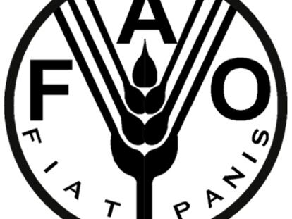 ¿Un Parlamento mundial para resolver la crisis de alimentos?