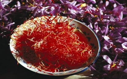 Estigmas rojos junto a las flores moradas del azafr&aacute;n en Consuegra (Toledo).