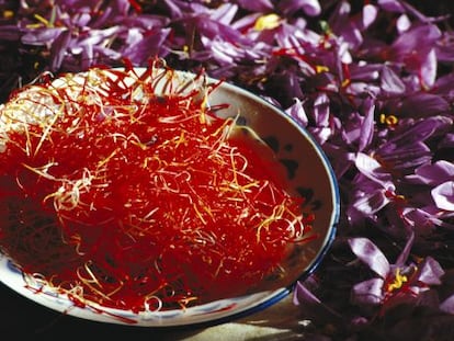 Estigmas rojos junto a las flores moradas del azafr&aacute;n en Consuegra (Toledo).