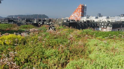 Azotea del Instituto Nacional de Biologia, en Liubliana, capital de Eslovenia. 