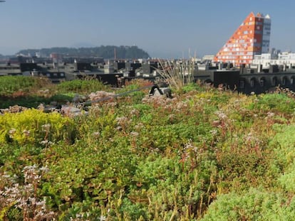 Azotea del Instituto Nacional de Biologia, en Liubliana, capital de Eslovenia. 