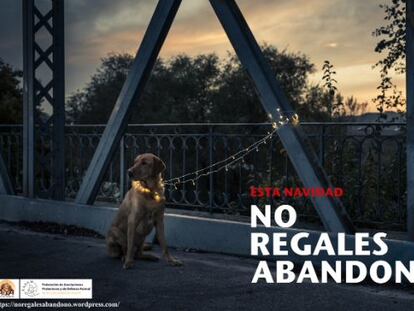Cartell de la campanya contra l'abandonament d'animals.