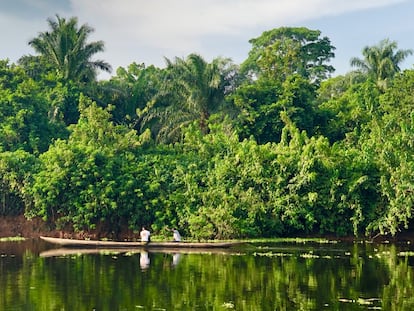 El bosque tropical regula los patrones hídricos en la cuenca del Congo, la mayor de África y la segunda del mundo después de la del Amazonas. El río también es la autopista por la que se transportan mercancías como el carbón vegetal y las planchas de madera recién cortadas. En la imagen, Yangambi.