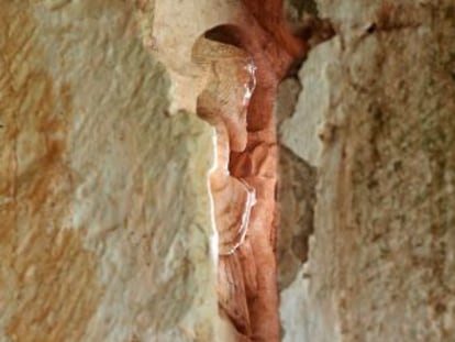 La iglesia de la despoblada localidad palentina de Quintanilla de la Berzosa escondía tras una grieta varias figuras talladas en piedra