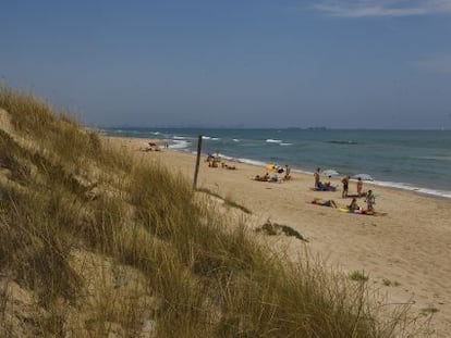 Playa de la Devesa de L&#039;Albufera de Valencia afectada por la erosi&oacute;n causada por el puerto de Valencia.