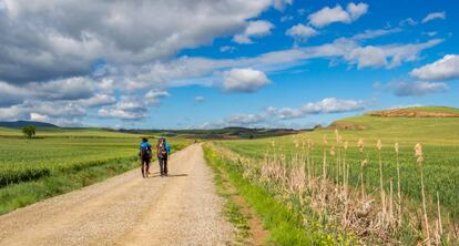 El Camino de Santiago cerca de la localidad riojana de Azofra.