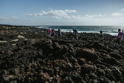 Una de las rutas costeras del festival es la del Malpaís de Güímar. Hay que acudir preparado para enfrentarse a un espectáculo natural sublime. Este cachito de isla parece haber sido arrancado de otro mundo y puesto aquí sin anestesia. Estamos frente a un panorama volcánico rocoso suavizado por la presencia de los cardones y tabaibas que crecen en este lugar recóndito —y supuestamente indómito— como si nada. Miradores, coladas, lagartos, el rumor de las olas. El malpaís es un espacio para conocer con pausa. De entre los aprovechamientos que el hombre ha obtenido de este entorno (pesca, pastoreo o agricultura), la extracción de sal marina ha legado pequeñas salinas que hoy se conservan en la Punta del Pedrón.