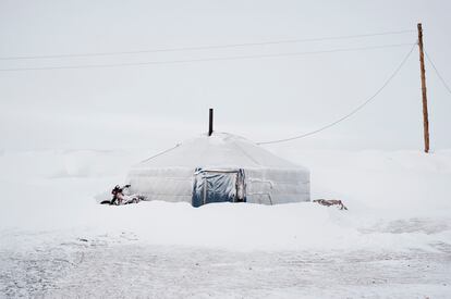 Marzo de 2011. Un gher (hogar tradicional mongolo), abandonado en medio de la nieve por una familia de pastores después de una fuerte nevada en la aldea de Ulziit. Los Tsamba aún viven allí, pese al duro invierno que tienen que soportar.