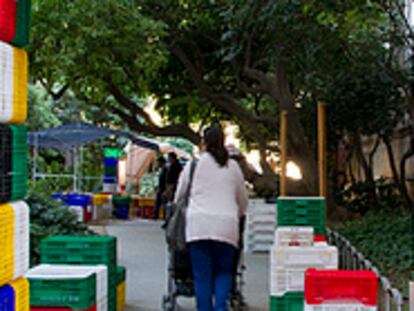Del campo al mercado, el valor de la agricultura de proximidad