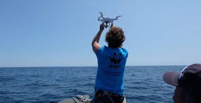 Un científico del Fondo Mundial para la Naturaleza lanza un dron para vigilar la población de ballenas del  Mediterráneo.