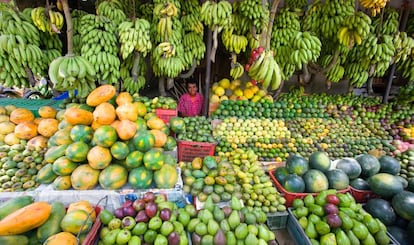 Los mercados de Sri Lanka, especialmente los de Colombo y Kandy, son caóticos pero entretenidos. La rica diversidad de comidas y sabores se capta al instante. Un cocinero cingalés se puede pasar varias horas al sol tostando y moliendo especias. El plato nacional, arroz y curri cingalés, es una compleja y elaborada batería de platillos de verduras (también de carne y pescado) preparados con mucho cuidado, que se acompaña de arroz. Son exquisitos y, muchas veces, demasiado fuertes para nuestros paladares.