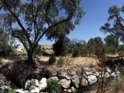 Imagen de los terrenos de Tres Cantos en los que se ampliar&iacute;a el Soto de Vi&ntilde;uelas.