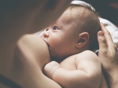 La gran aventura de la lactancia materna