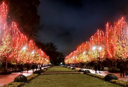 Árboles del Parque del Retiro adornados con luces durante la pasada la Navidad. Foto cedida por la Asociación de Amigos del Retiro