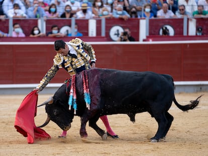 José María Manzanares, ante el quinto toro de la tarde.