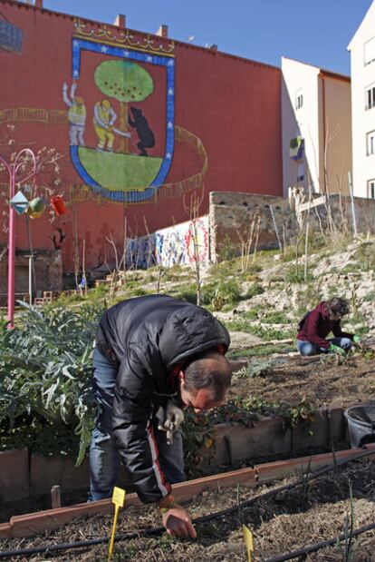 Uno de los miembros de Esta es una Plaza trabaja en su huerto ecológico de Lavapiés.