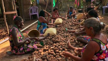 Quebradeiras de coco no documentário 'Vozes da Amazônia'.