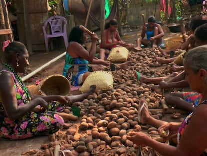 Quebradeiras de coco no documentário 'Vozes da Amazônia'.