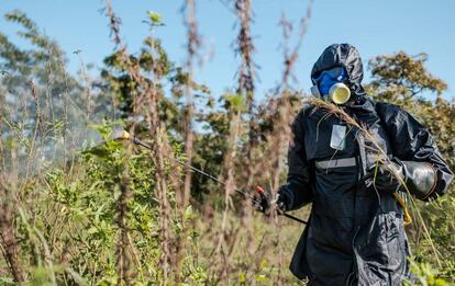 Un soldado rocía con insecticida plantas en Otuke, Uganda.