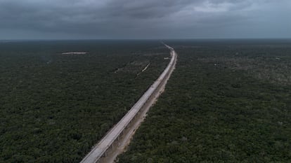 Tramo 5 del Tren Maya: horarios y ruta en México